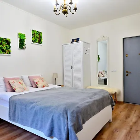 Apartment Transilvania *