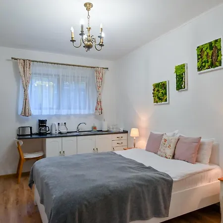 Transilvania Studio
