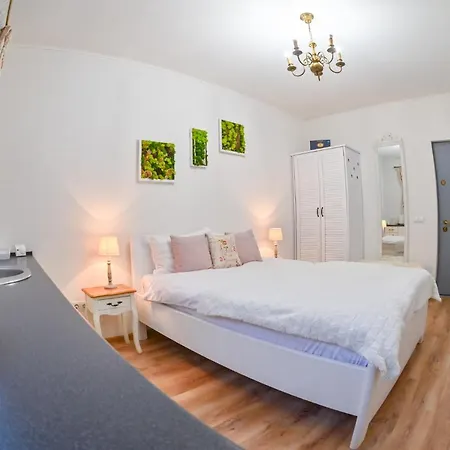Apartment Transilvania